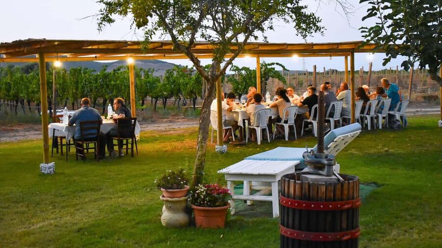 Alghero: lunch or dinner in the vineyard - Key points at a glance