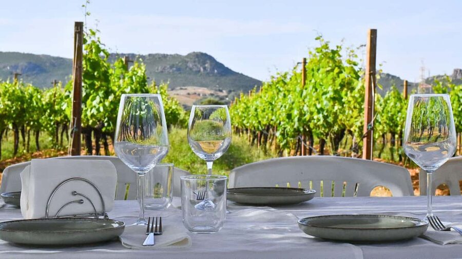 Alghero: lunch or dinner in the vineyard - A countryside meal, not a rushed tasting