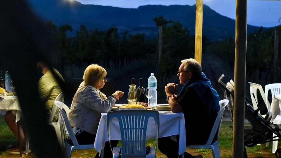 Alghero: lunch or dinner in the vineyard - Vegetarian and special-diet choices
