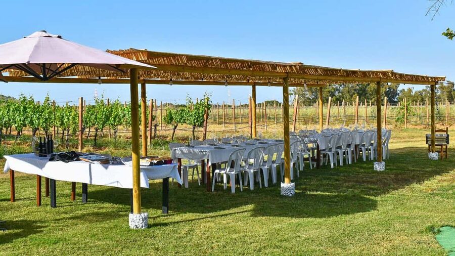 Alghero: lunch or dinner in the vineyard - The food and wine pairing