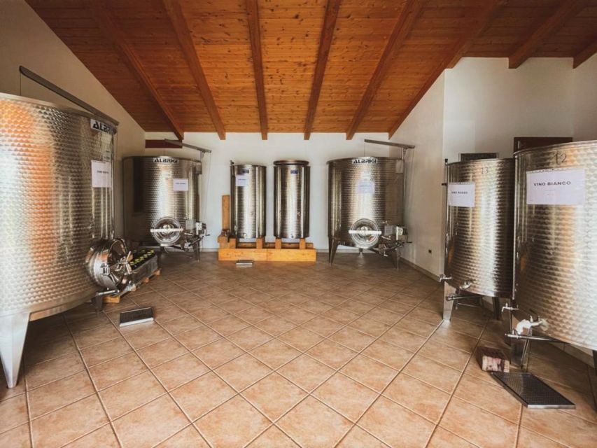 Alghero: lunch or dinner in the vineyard - Who will enjoy this three-hour experience