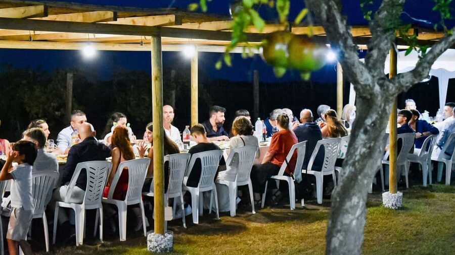 Alghero: lunch or dinner in the vineyard - Walking through the vineyard and cellar