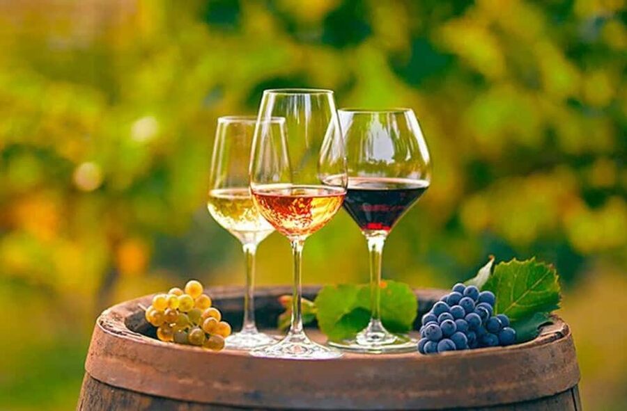 Alicante: Old Winery with Tastings & Gaudí's style of Church - Why this Alicante wine trip is worth your morning