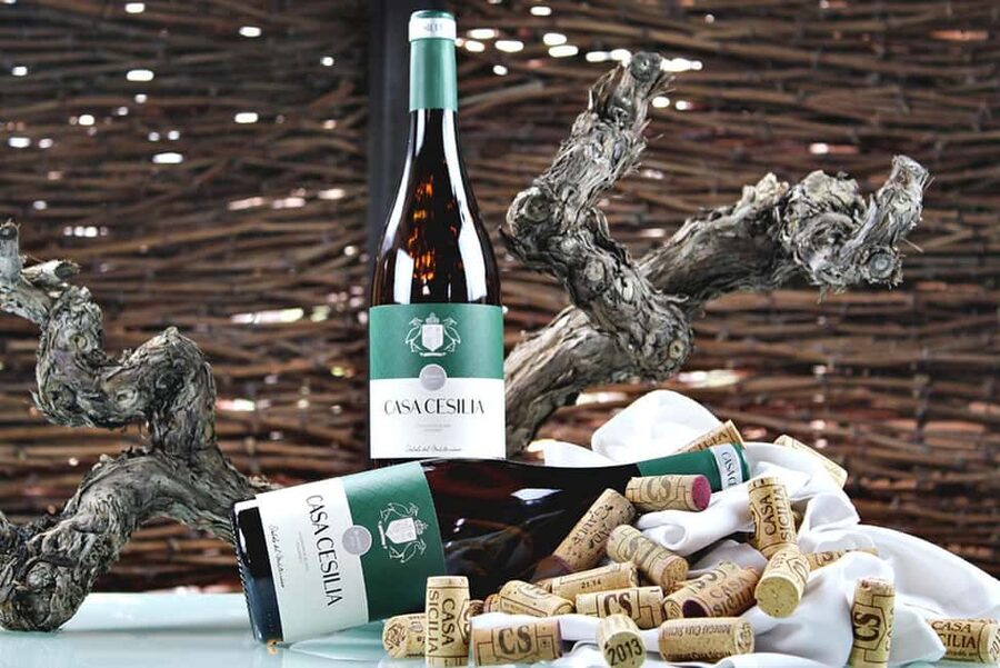 Alicante: Old Winery with Tastings & Gaudí's style of Church - The guides and the value of a small group