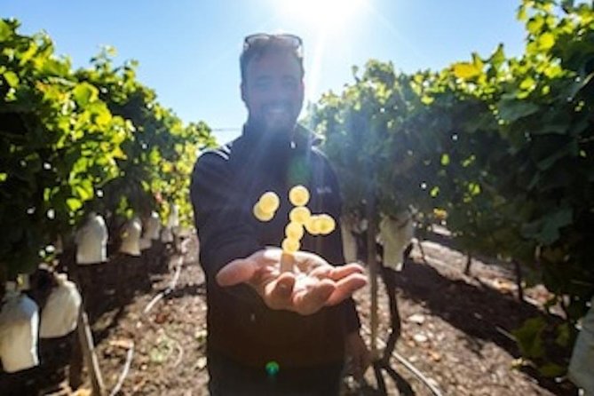 Alicante: Small-Group Countryside Wine Tour with 4 Tastings - Key points at a glance