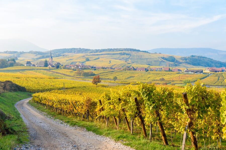 Alsace: Full-Day Wine Tour & Tastings from Strasbourg - Dambach-la-Ville and the Frankstein Grand Cru