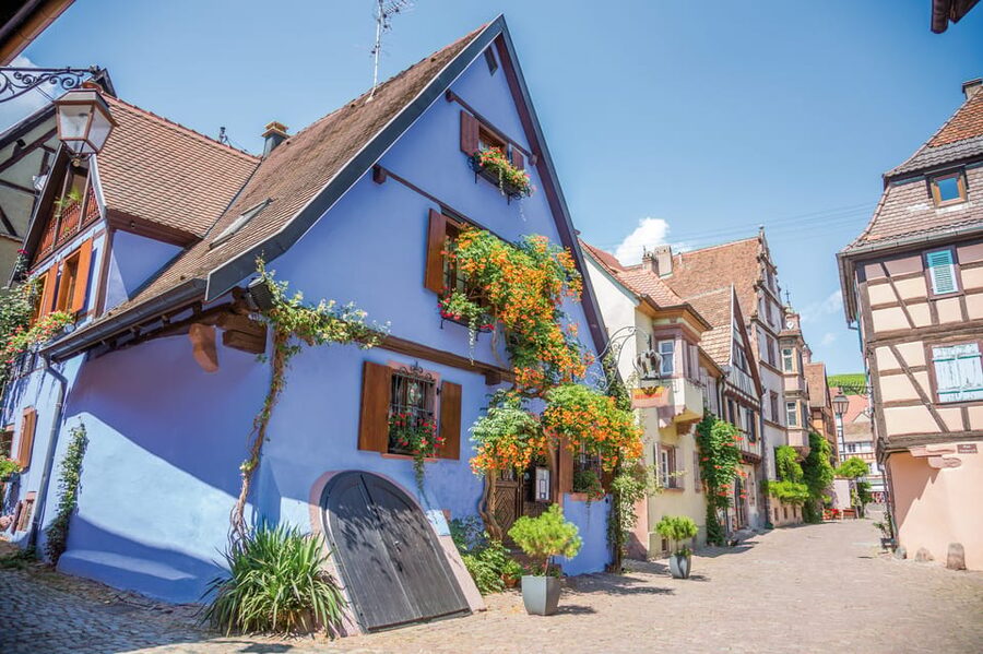 Alsace: Full-Day Wine Tour & Tastings from Strasbourg - Afternoon wines around Ribeauvillé and Riquewihr