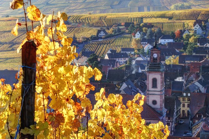 Alsace: Half-Day Wine Tour from Colmar - At a glance