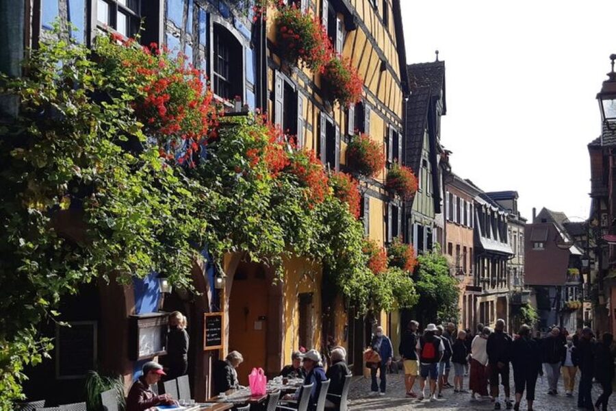 Alsace: Half-Day Wine Tour from Colmar - Is $112 a fair price?