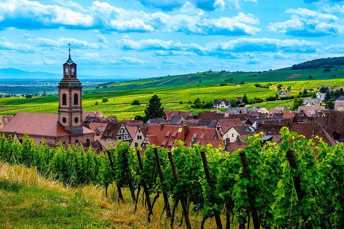 Alsace: Half-Day Wine Tour from Colmar - Hunawihr in 45 minutes