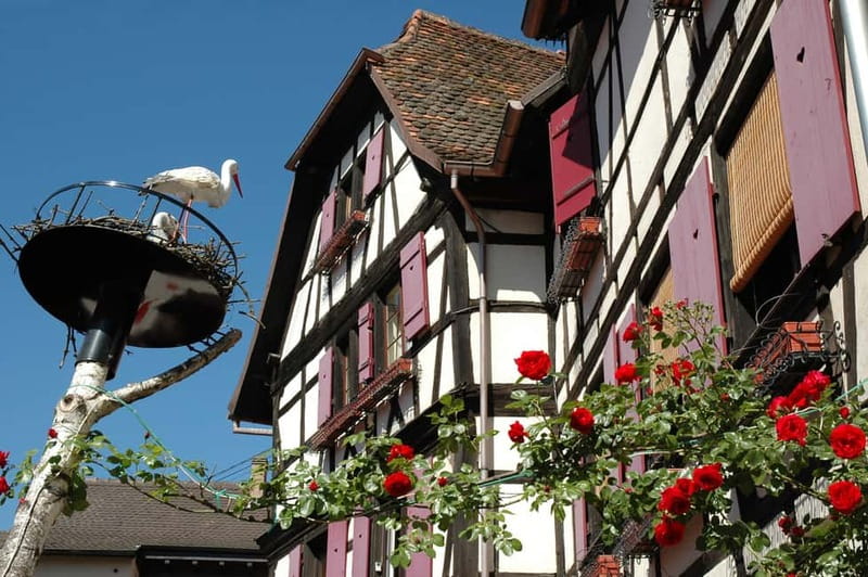 Alsace Half-Day Wine Tour from Strasbourg - Obernai: a town stop before the tasting