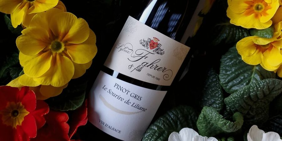 Alsace: Winery Tour and Alsatian Wine Tasting ENGLISH - The standard Alsace tasting: compare more than one style