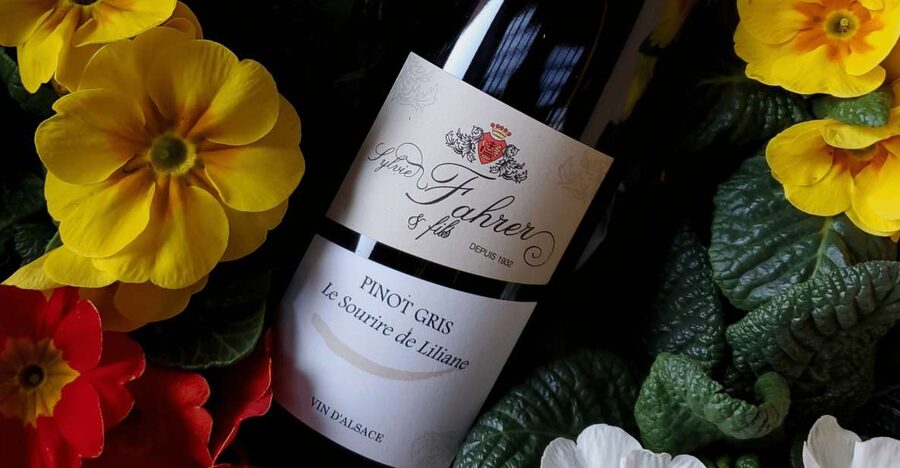 Alsace: Winery Tour and Alsatian Wine Tasting ENGLISH - Through the cellar and underground tanks