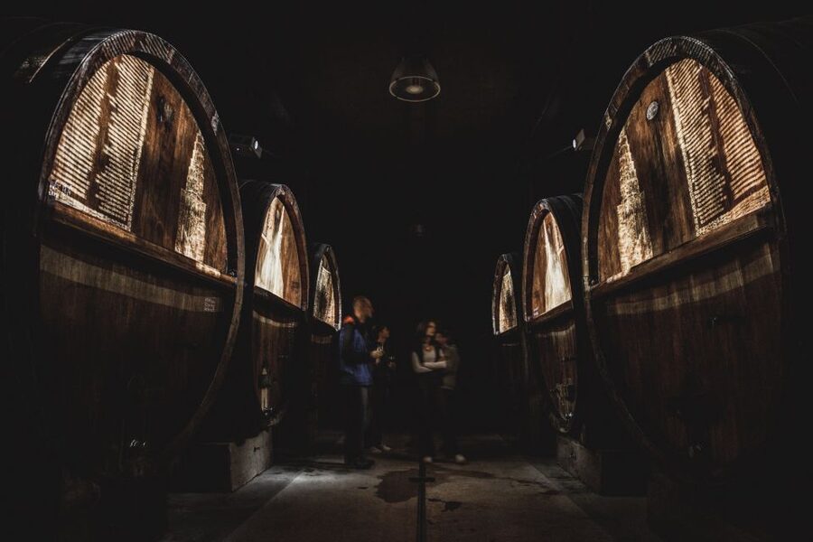 Alsatian Guided Wine Tasting and Immersive wine cellar tour - Five things worth knowing before you go