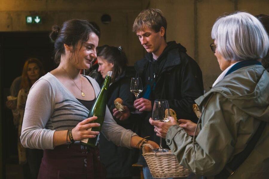 Alsatian Guided Wine Tasting and Immersive wine cellar tour - Should you book it?