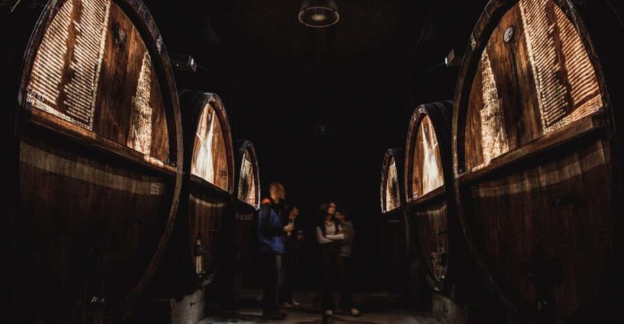 Alsatian Guided Wine Tasting and Immersive wine cellar tour - Five wines that show the range of Alsace