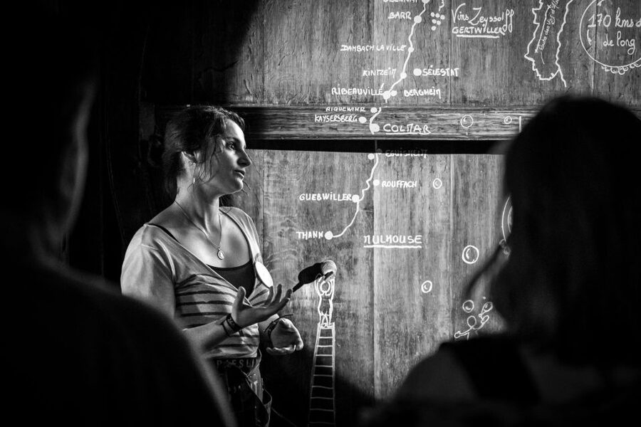 Alsatian Guided Wine Tasting and Immersive wine cellar tour - The 180-degree film on the barrels