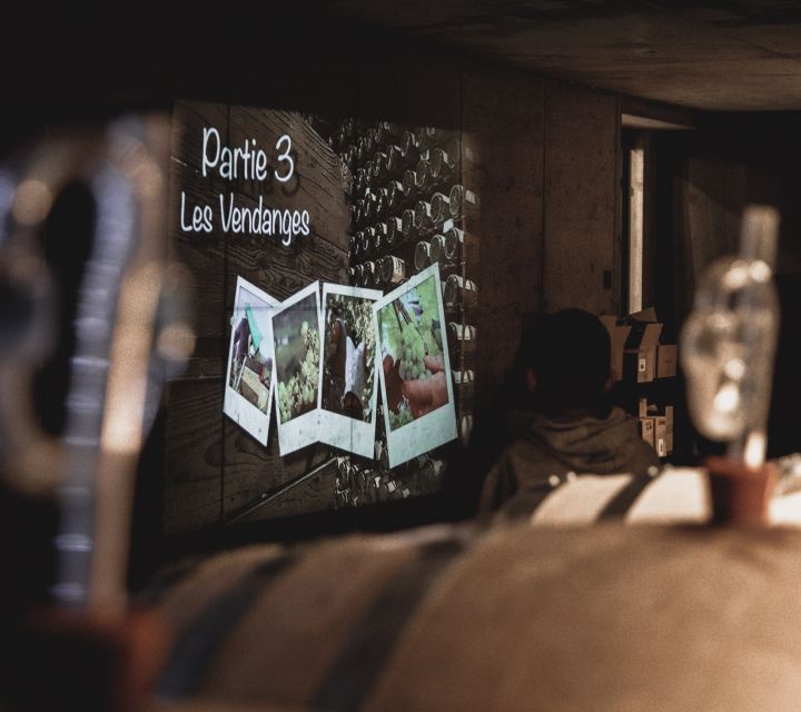 Alsatian Guided Wine Tasting and Immersive wine cellar tour - Booking details that matter