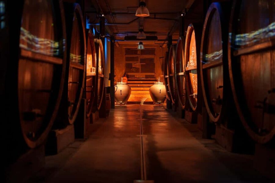 Alsatian Immersive Wine Tour, Wine Tasting & Alsatian lunch - My verdict on this Alsatian wine experience