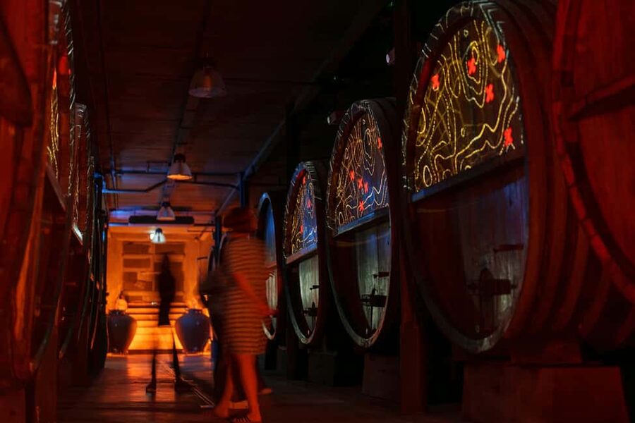 Alsatian Immersive Wine Tour, Wine Tasting & Alsatian lunch - The 180° barrel projection