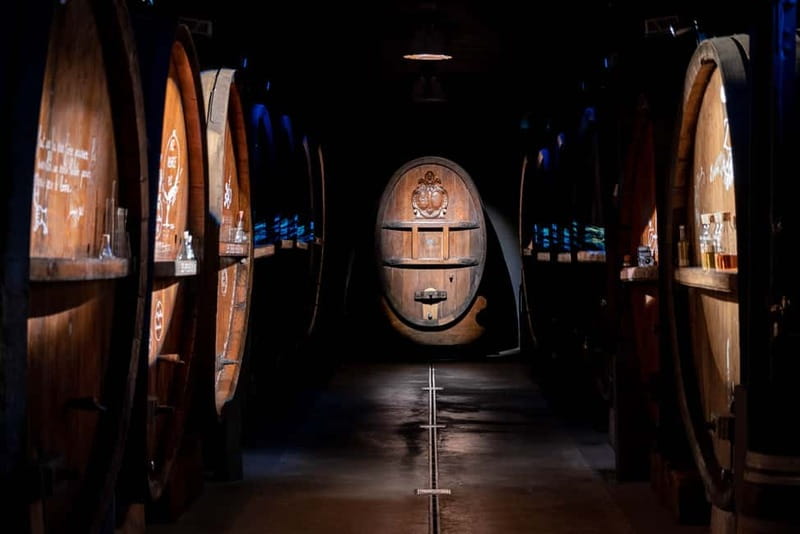 Alsatian Immersive Wine Tour, Wine Tasting & Alsatian lunch - Is $76 a fair price?