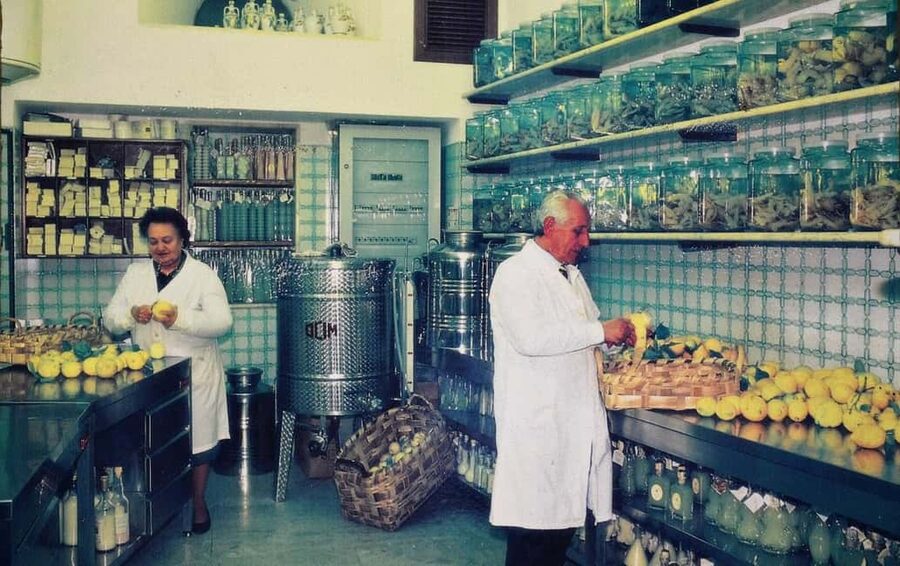 Amalfi: Limoncello Factory Visit with Instructor and Tasting - Peeling lemons and taking part in the batch