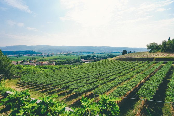 Amarone Wine-tasting Tour from Verona with Private Transportation - Leaving Verona for the Valpolicella hills
