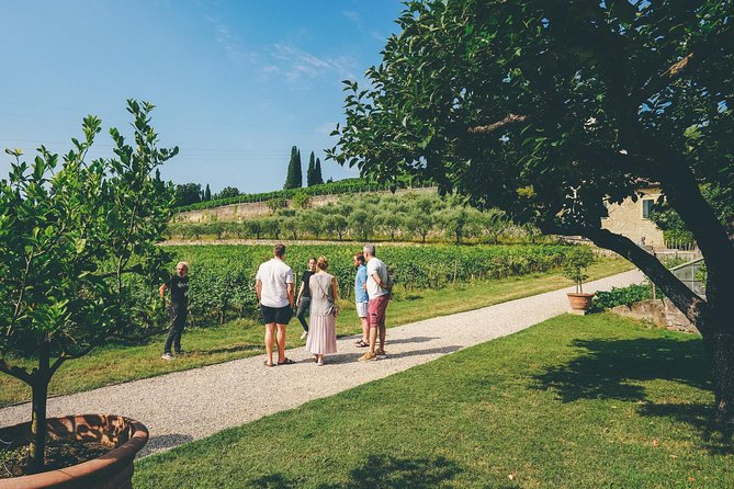 Amarone Wine-tasting Tour from Verona with Private Transportation - Amarone, Ripasso, and the wines you taste