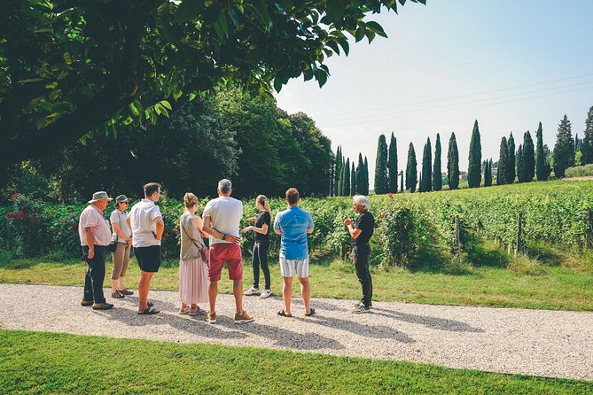 Amarone Wine-tasting Tour from Verona with Private Transportation - Timing, meeting point, and practical details