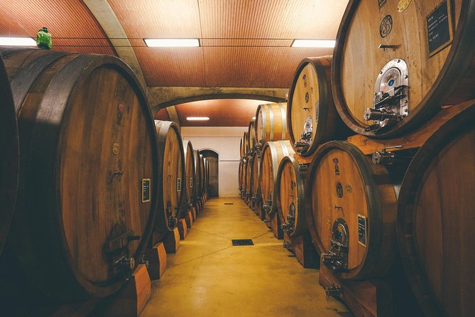 Amarone Wine-tasting Tour from Verona with Private Transportation - Who will enjoy this Valpolicella outing