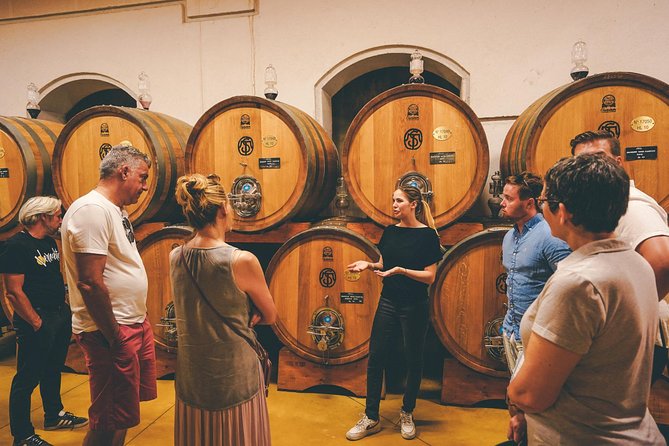 Amarone Wine-tasting Tour from Verona with Private Transportation - First winery: cellar, family welcome, and Amarone