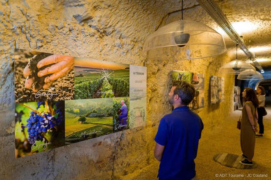 Amboise: Caves Ambacia Visit and Wine Tasting - Guides Who Explain Without Showing Off