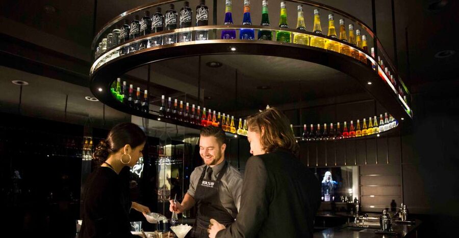 Amsterdam: Bols Cocktail Experience and Cocktail Workshop - Should you book the Bols Cocktail Experience?