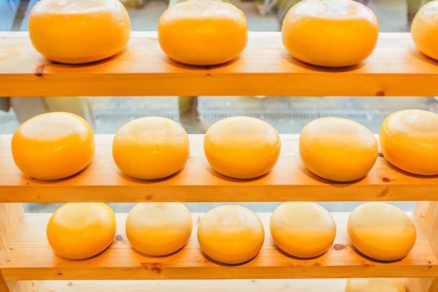 Amsterdam: Premium Henri Willig Cheese Tasting Experience - A family story, not only a cheese sales pitch