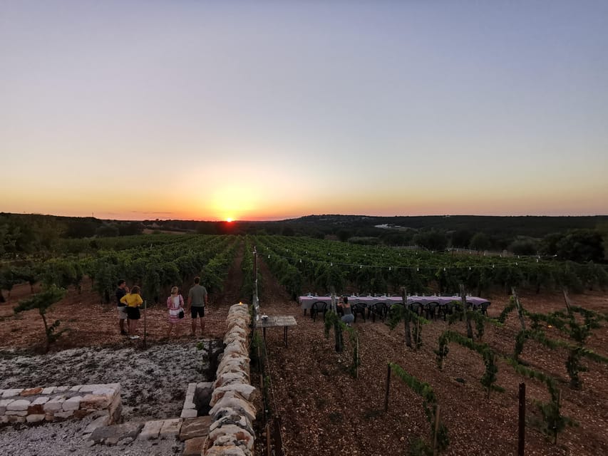 Apulia: Guided Wine Tasting with Local Appetizers - Pietra Viva and the taste of Verdeca