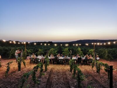 Apulia: Guided Wine Tasting with Local Appetizers