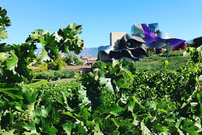 Architectural Rioja Small Group Wine Tour with Lunch from Bilbao - Laguardia: medieval streets and a relaxed tapas lunch