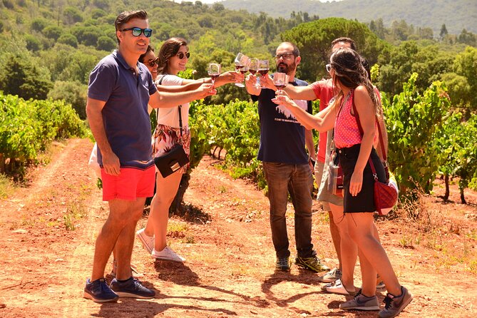 Arrabida and Sesimbra Small-Group Day Trip from Lisbon with Wine Tasting - José Maria da Fonseca and the first wine tasting
