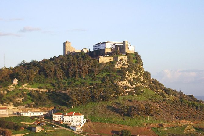 Arrabida and Sesimbra Small-Group Day Trip from Lisbon with Wine Tasting - Quinta do Alcube in the Arrábida hills