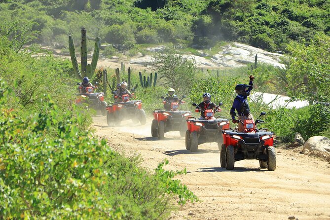 ATV Tour, Camel Ride, Tequila Tasting and Mexican Buffet Lunch - Two Baja adventures at Tierra Sagrada