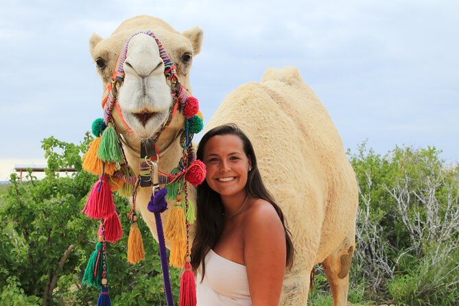 ATV Tour, Camel Ride, Tequila Tasting and Mexican Buffet Lunch - The camel ride along the beach