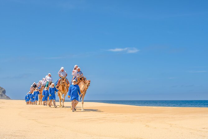 ATV Tour, Camel Ride, Tequila Tasting and Mexican Buffet Lunch - Tequila tasting and a buffet beside the sea