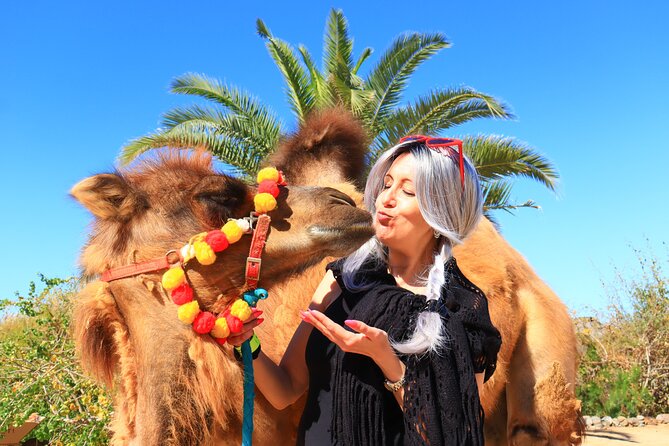 ATV Tour, Camel Ride, Tequila Tasting and Mexican Buffet Lunch - What the $149 price really covers