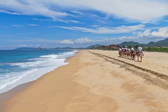 ATV Tour, Camel Ride, Tequila Tasting and Mexican Buffet Lunch - Practical requirements and comfort