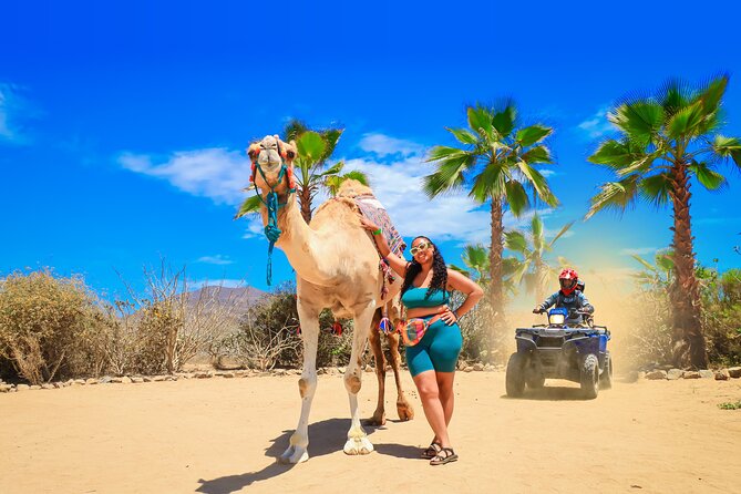 ATV Tour, Camel Ride, Tequila Tasting and Mexican Buffet Lunch - The ATV ride: dust, cactus, and canyon trails