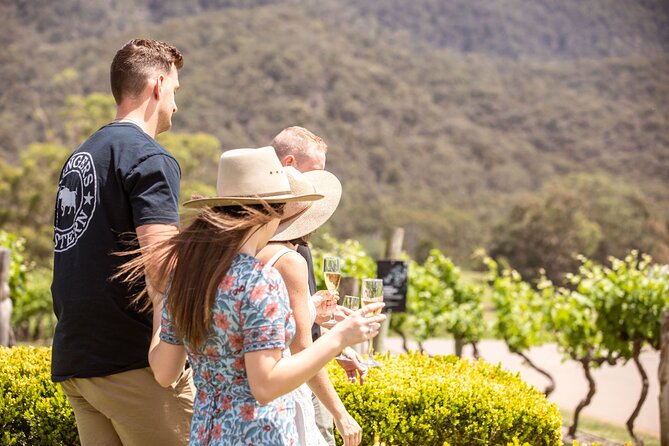 Audrey Wilkinson Vineyard: Picnic with Wine Masterclass Tasting - Choosing your bottle and etched glass