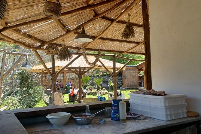 Authentic Farm Tour with Pizza, Cheese, Wine & Limoncello Tasting - Who will enjoy Primaluce most?