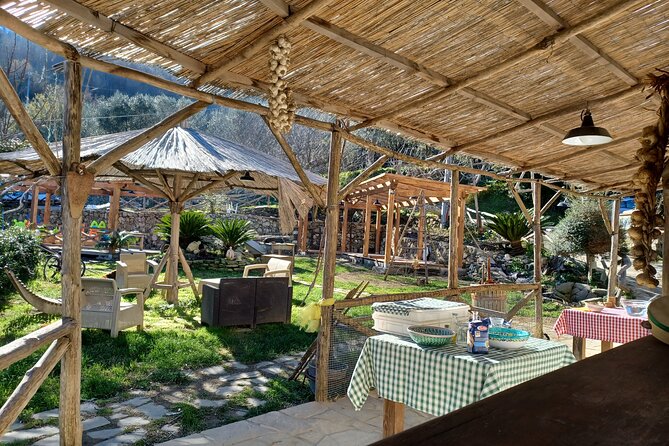 Authentic Farm Tour with Pizza, Cheese, Wine & Limoncello Tasting - Fresh mozzarella and caciotta, shown the traditional way