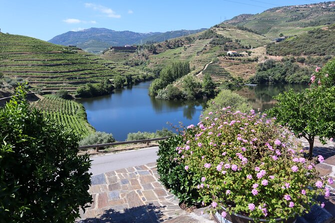 Authentic Small Group Douro Wine Tour with Lunch & River Cruise - First winery: wine explained at the source