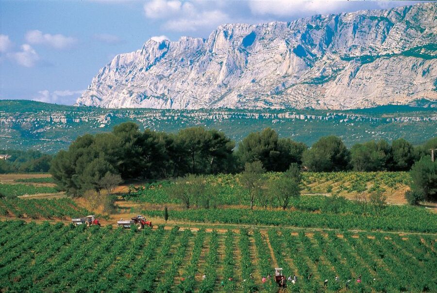 Avignon: Full-Day Wine Tour around Châteauneuf-du-Pape - The wineries and cellar visits